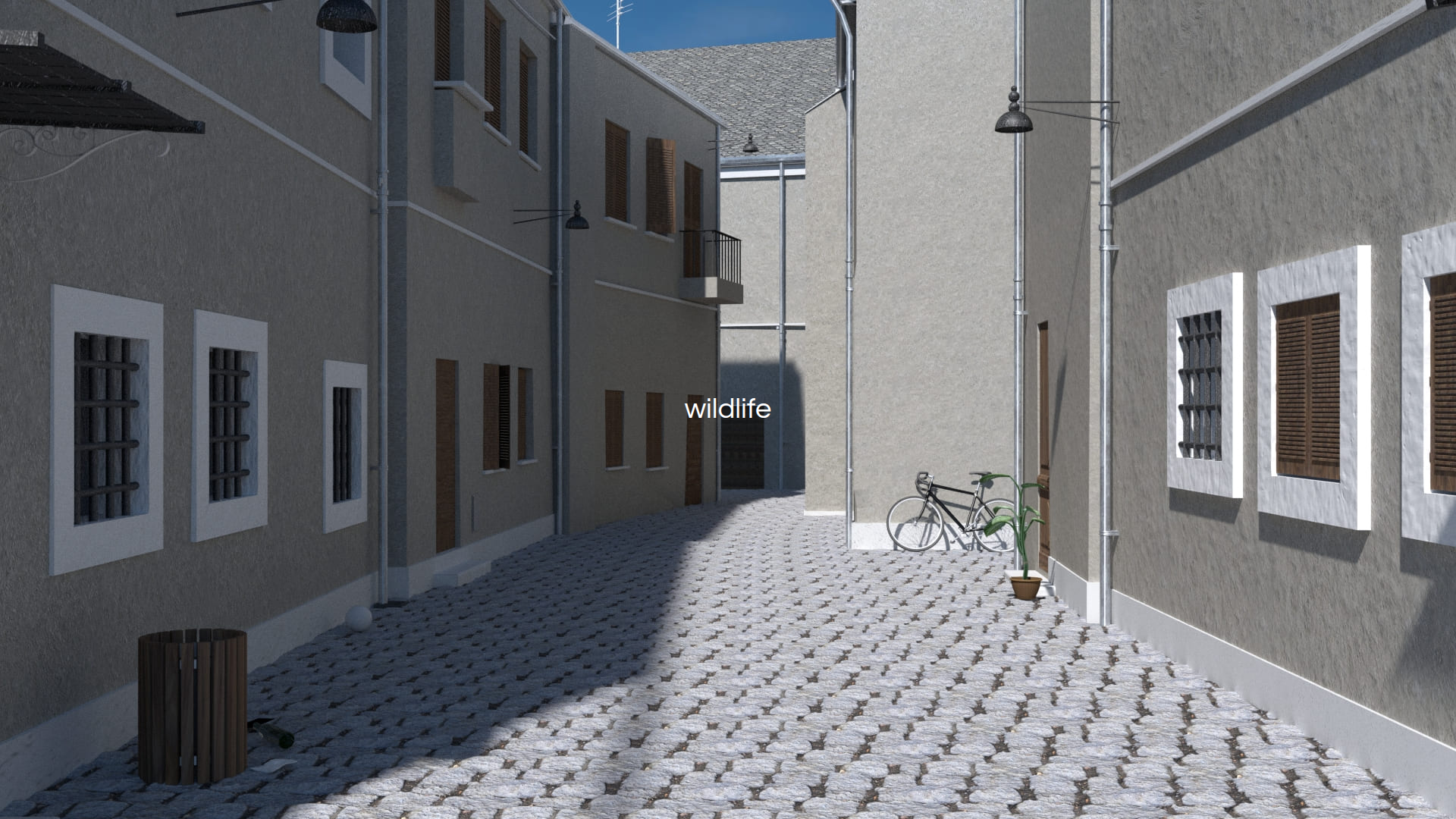 Example image of the vaast - Avoidance trial